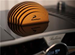 Antelope RUBICON